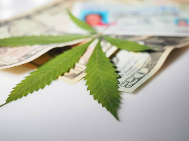 Find Out How Easy it is to Obtain Your Medical Cannabis Qualifications in Kentucky