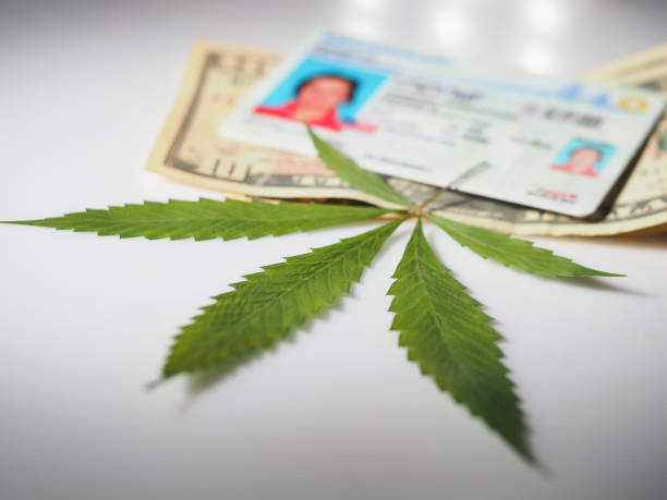 Overview of medical cannabis qualifications in Kentucky